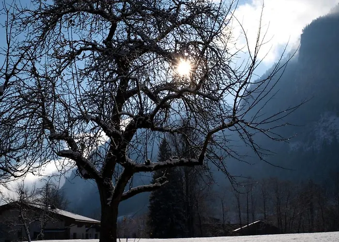 Lejlighed Stockach Schwendau
